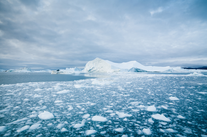 photo of the arctic Sea