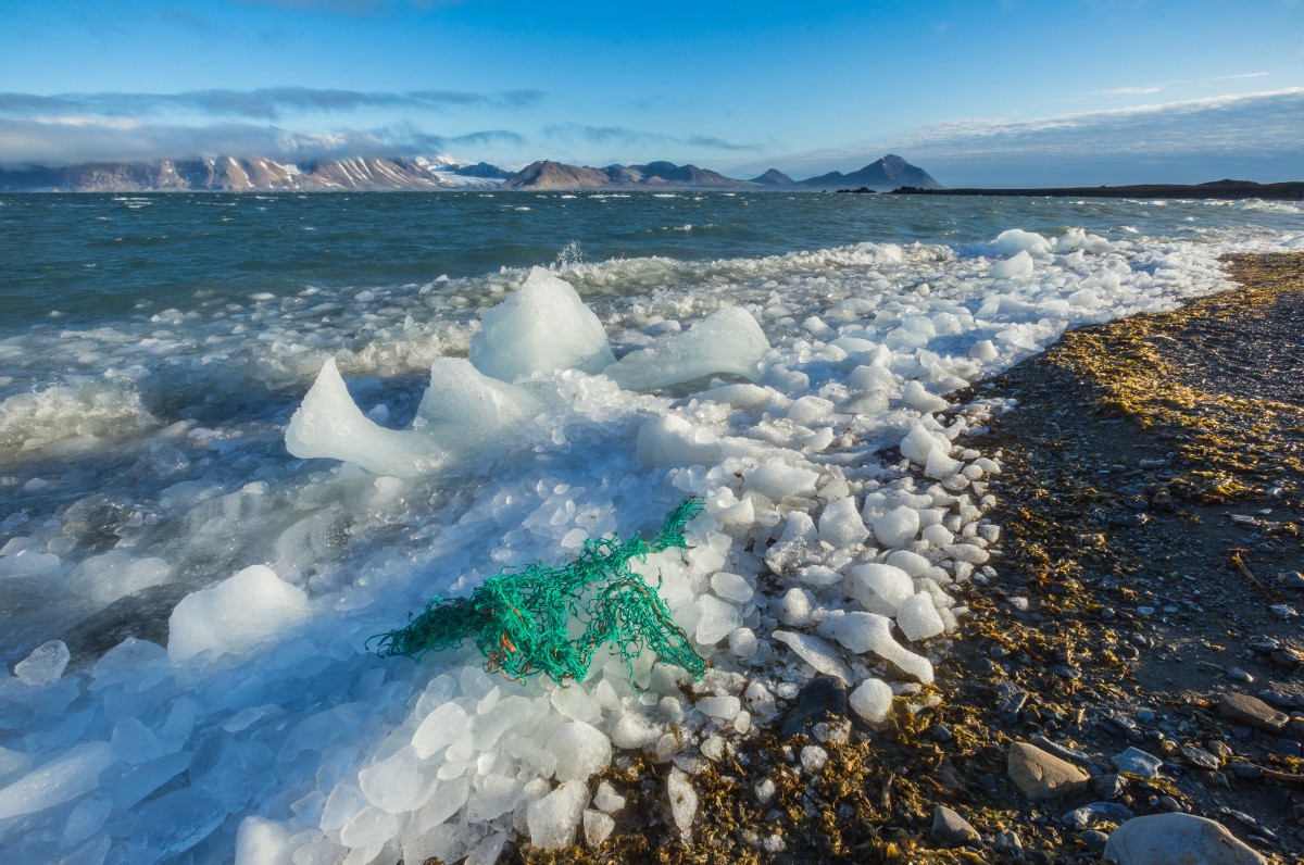 Image of some arctic waste