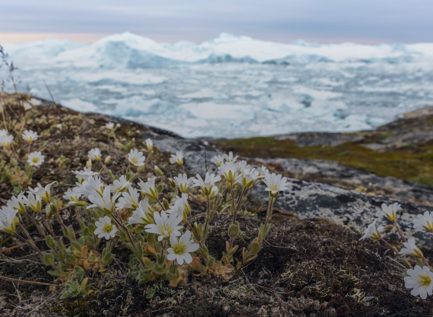 northwest passage holding image