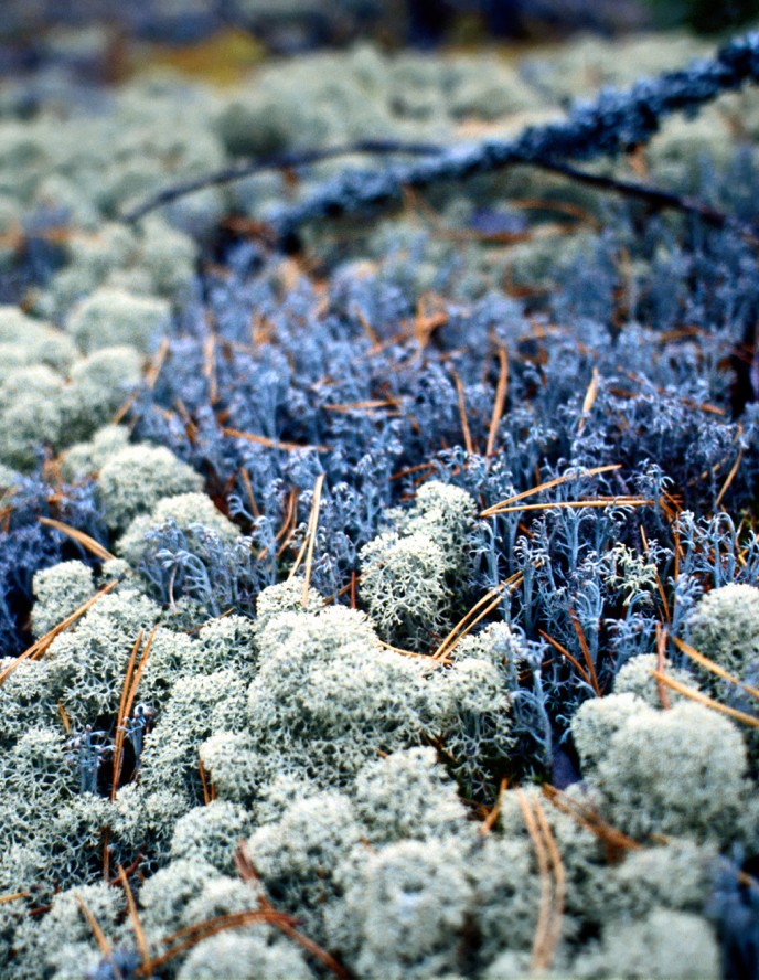 Image waste on a beach