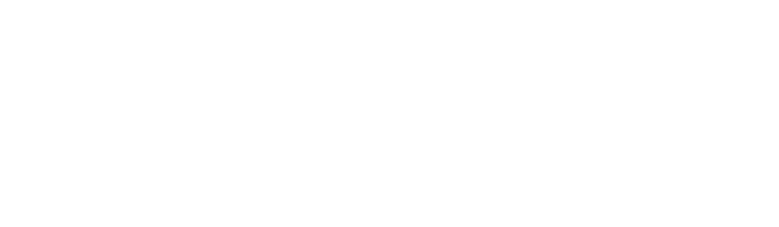 Villars Institute logo